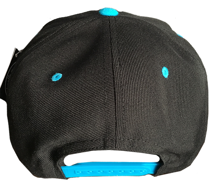 Geo Idaho Snapback