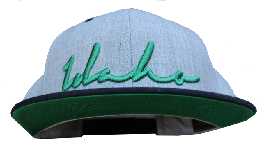 Script Idaho Snapback